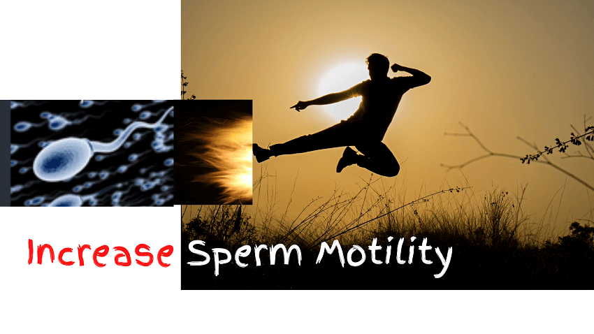 Increase Sperm Motility Fast And Boost Male Fertility Naturally 